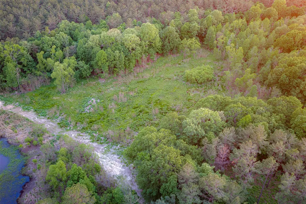 CR 155 Long Branch, TX 75669
