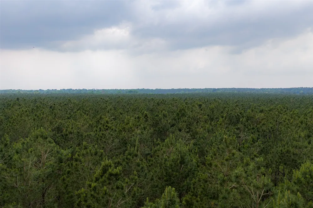 CR 155 Long Branch, TX 75669