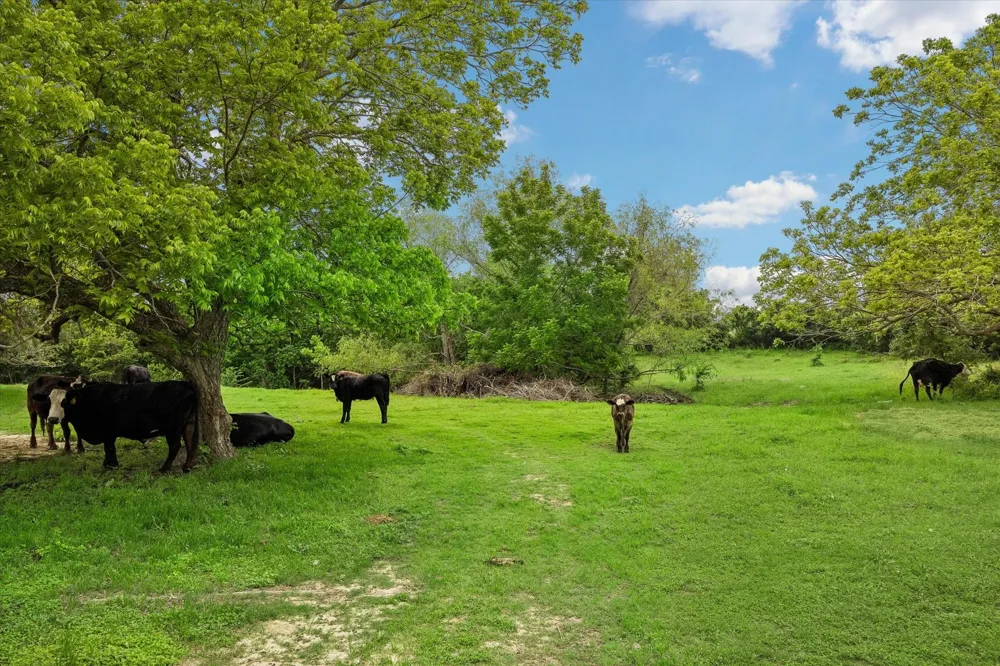 4754 Wickel Road Burton, TX 77835
