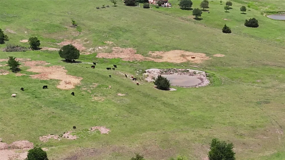 4754 Wickel Road Burton, TX 77835