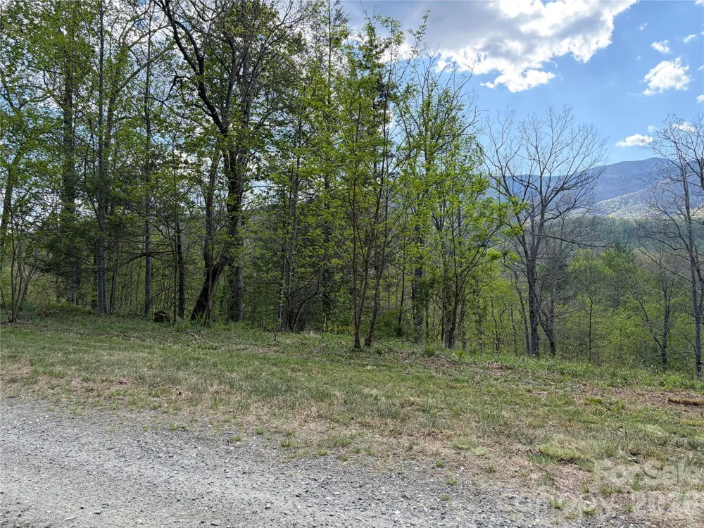 000 Mt. Mitchell Drive Burnsville, NC 28714