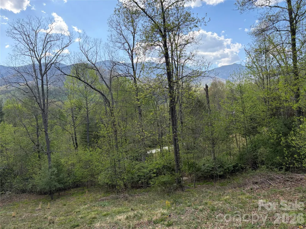 000 Mt. Mitchell Drive Burnsville, NC 28714