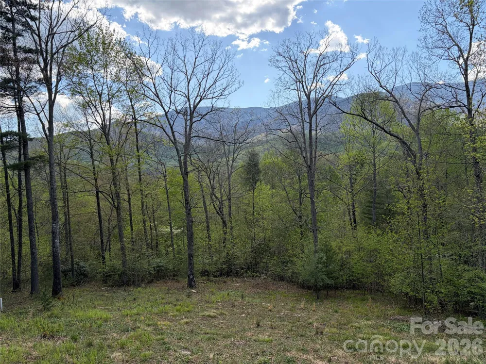 000 Mt. Mitchell Drive Burnsville, NC 28714