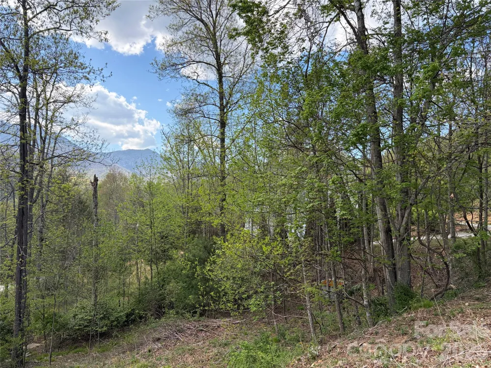 000 Mt. Mitchell Drive Burnsville, NC 28714