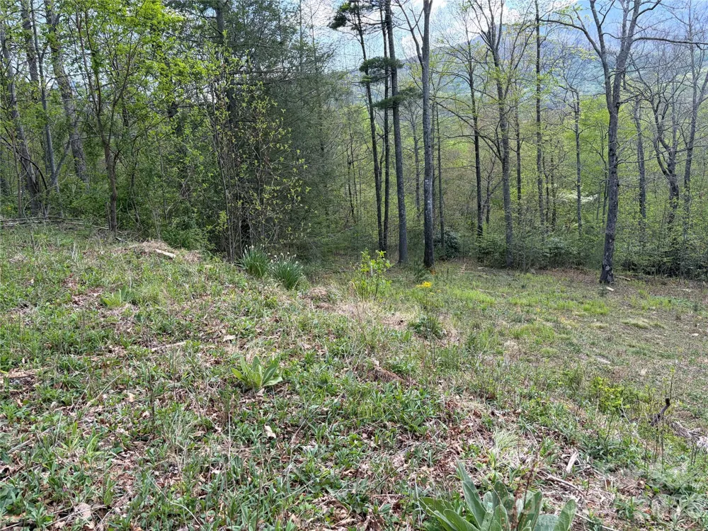 000 Mt. Mitchell Drive Burnsville, NC 28714