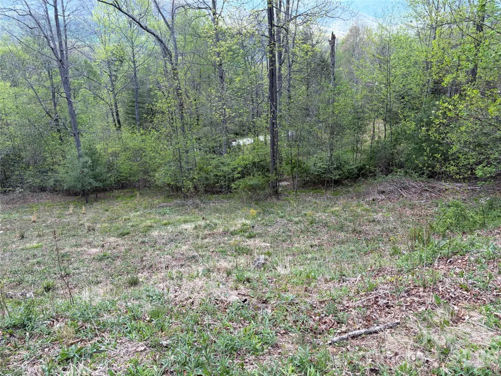 000 Mt. Mitchell Drive Burnsville, NC 28714