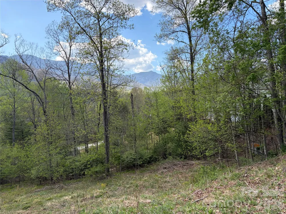 000 Mt. Mitchell Drive Burnsville, NC 28714