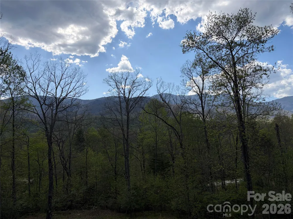 000 Mt. Mitchell Drive Burnsville, NC 28714