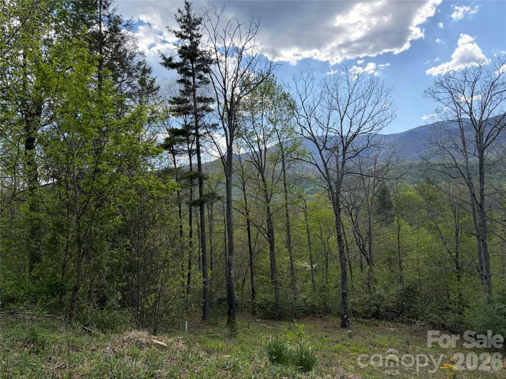 000 Mt. Mitchell Drive Burnsville, NC 28714