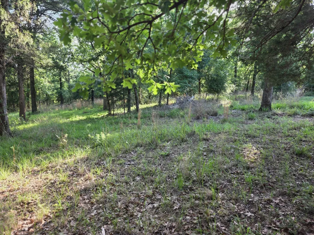 Timber Ridge Larue, TX 75770