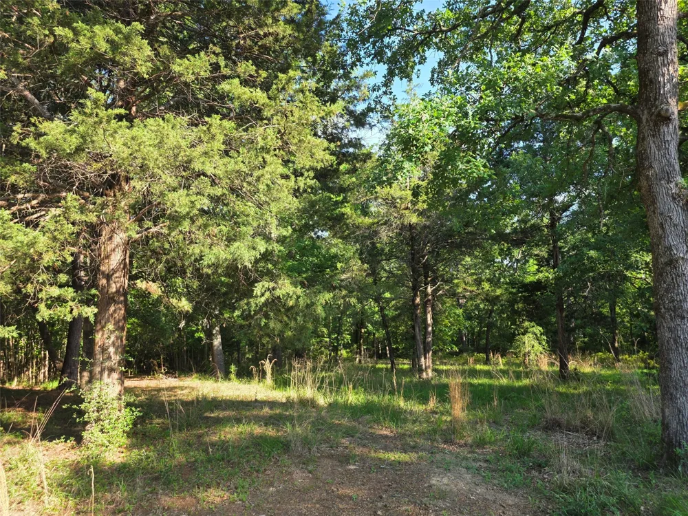 Timber Ridge Larue, TX 75770
