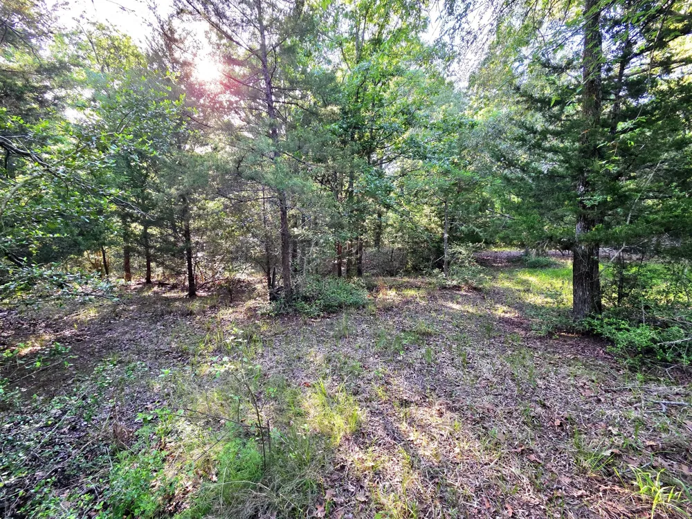 Timber Ridge Larue, TX 75770