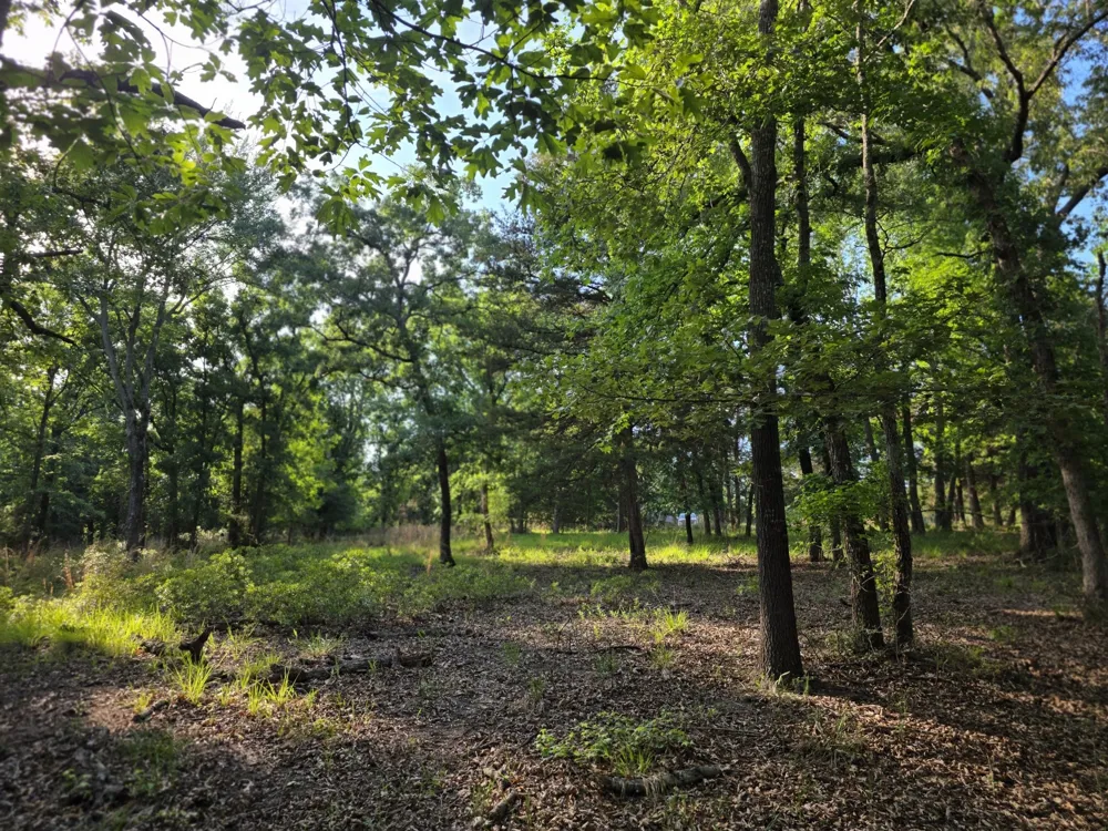 Timber Ridge Larue, TX 75770