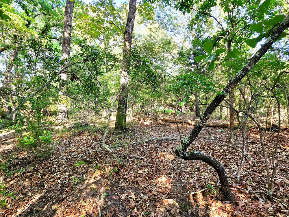 Timber Ridge Larue, TX 75770