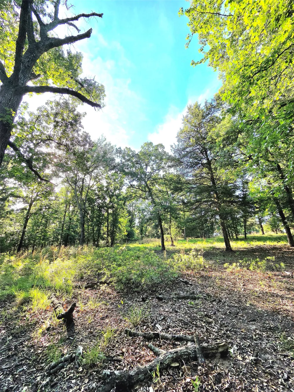 Timber Ridge Larue, TX 75770