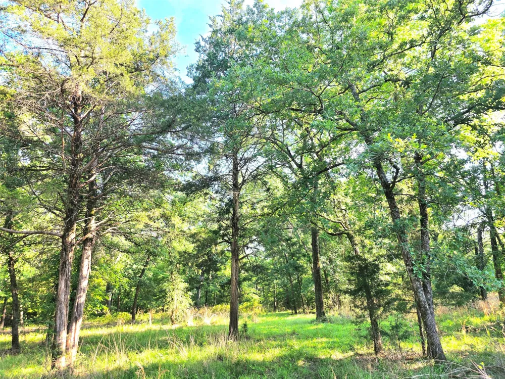 Timber Ridge Larue, TX 75770