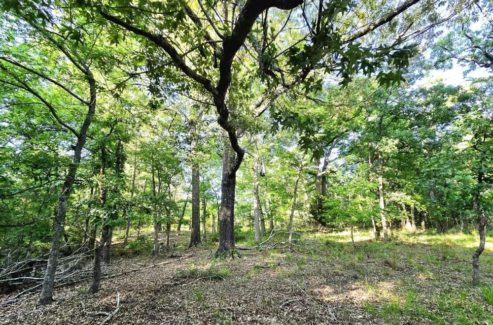 Timber Ridge Larue, TX 75770