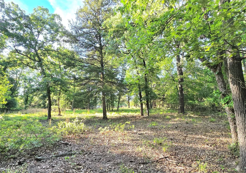 Timber Ridge Larue, TX 75770