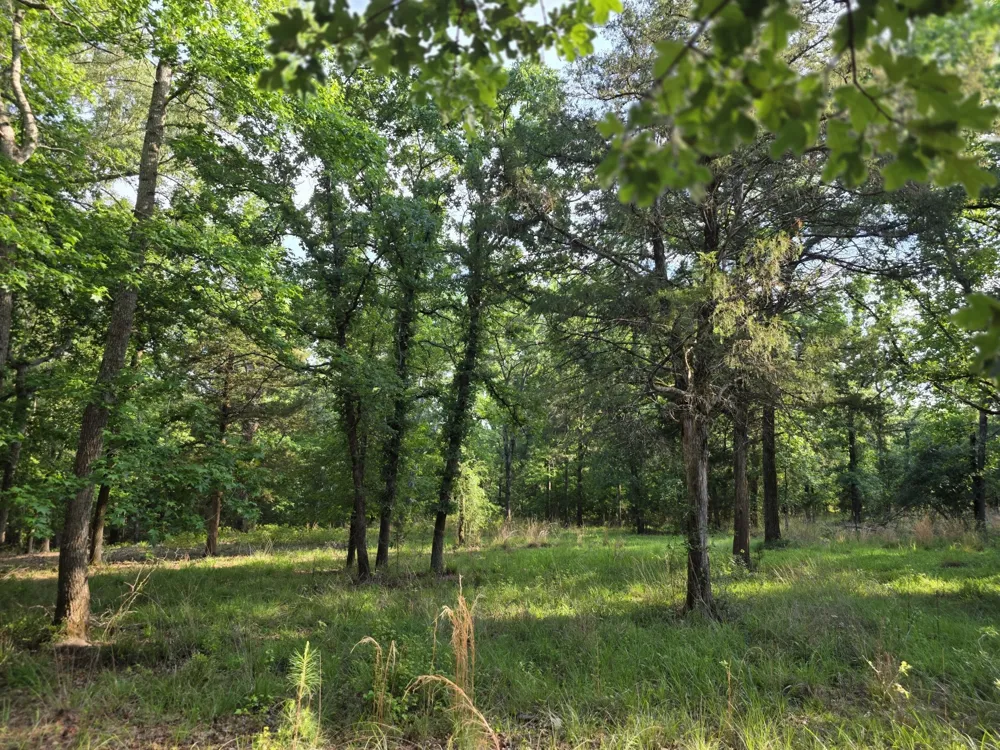 Timber Ridge Larue, TX 75770