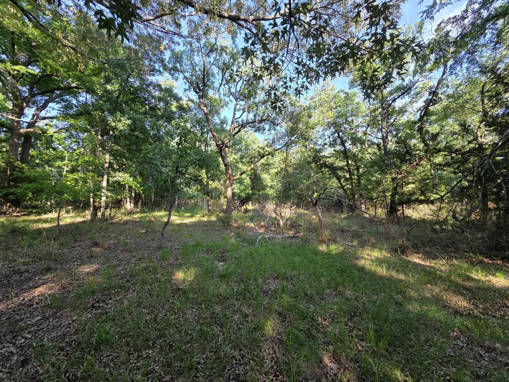 Timber Ridge Larue, TX 75770