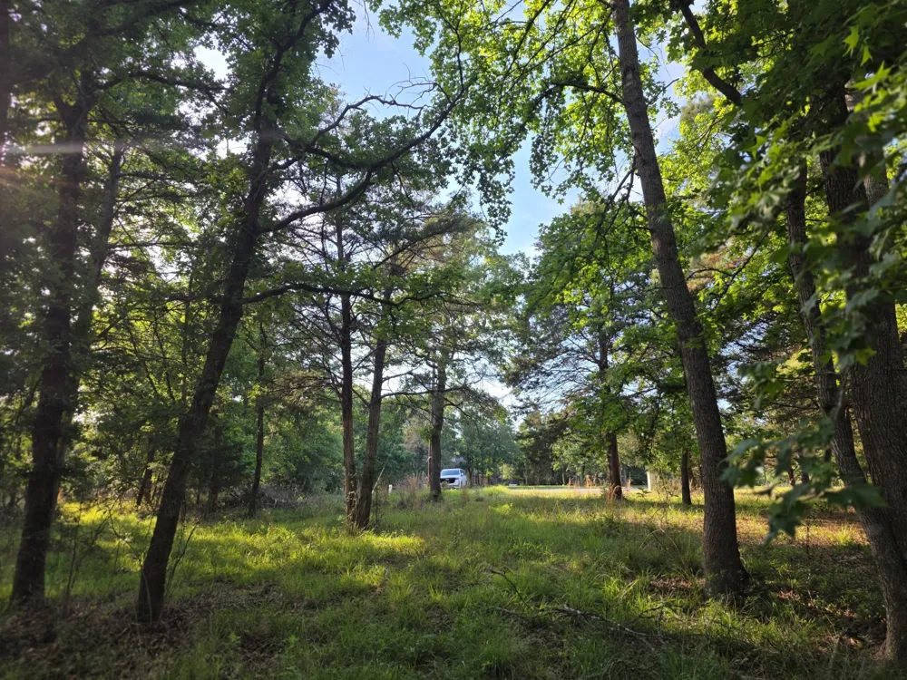 Timber Ridge Larue, TX 75770