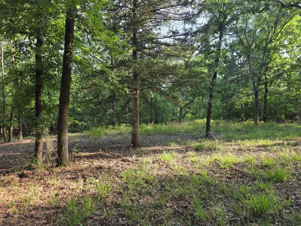 Timber Ridge Larue, TX 75770