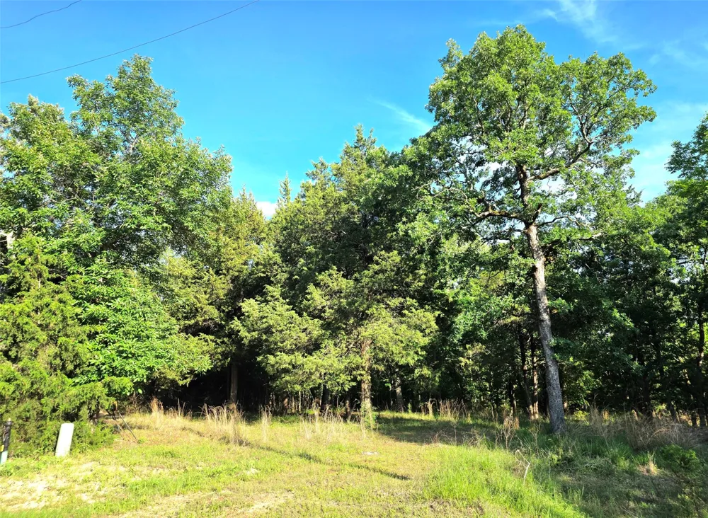 Timber Ridge Larue, TX 75770