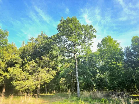 Timber Ridge