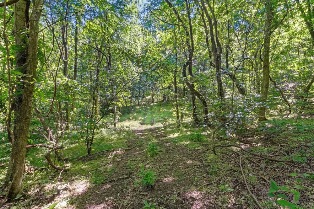 402 Cortner Hollow Rd Petersburg, TN 37144