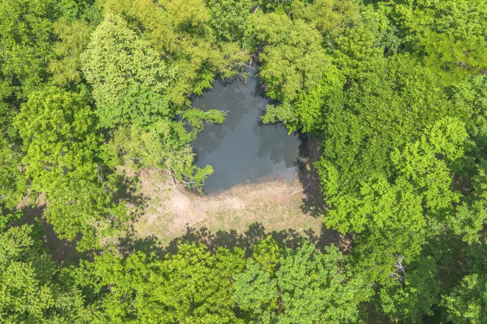 402 Cortner Hollow Rd Petersburg, TN 37144