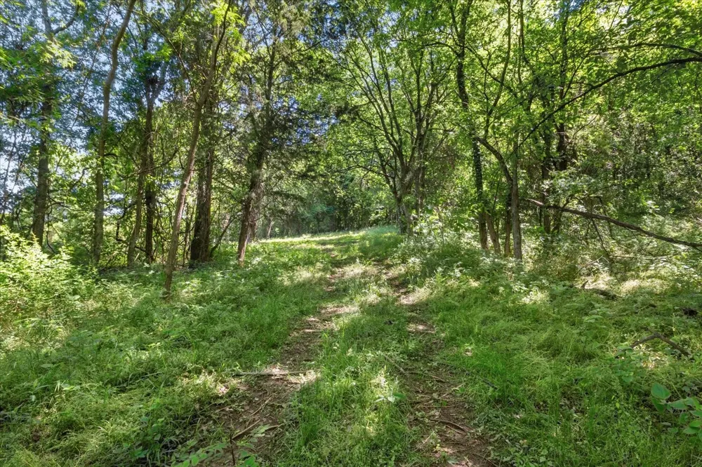 402 Cortner Hollow Rd Petersburg, TN 37144