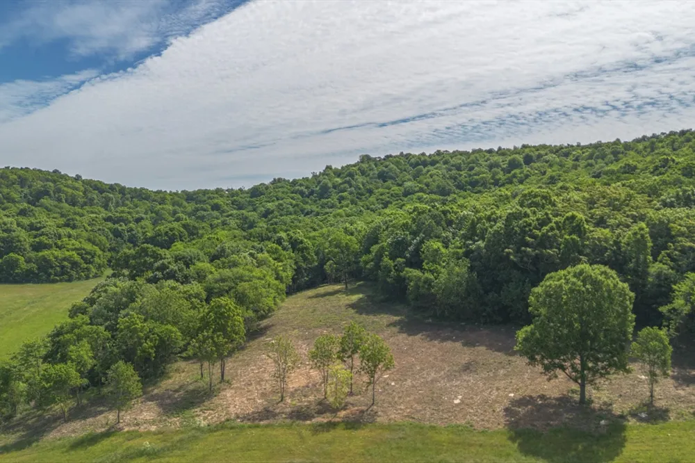 402 Cortner Hollow Rd Petersburg, TN 37144