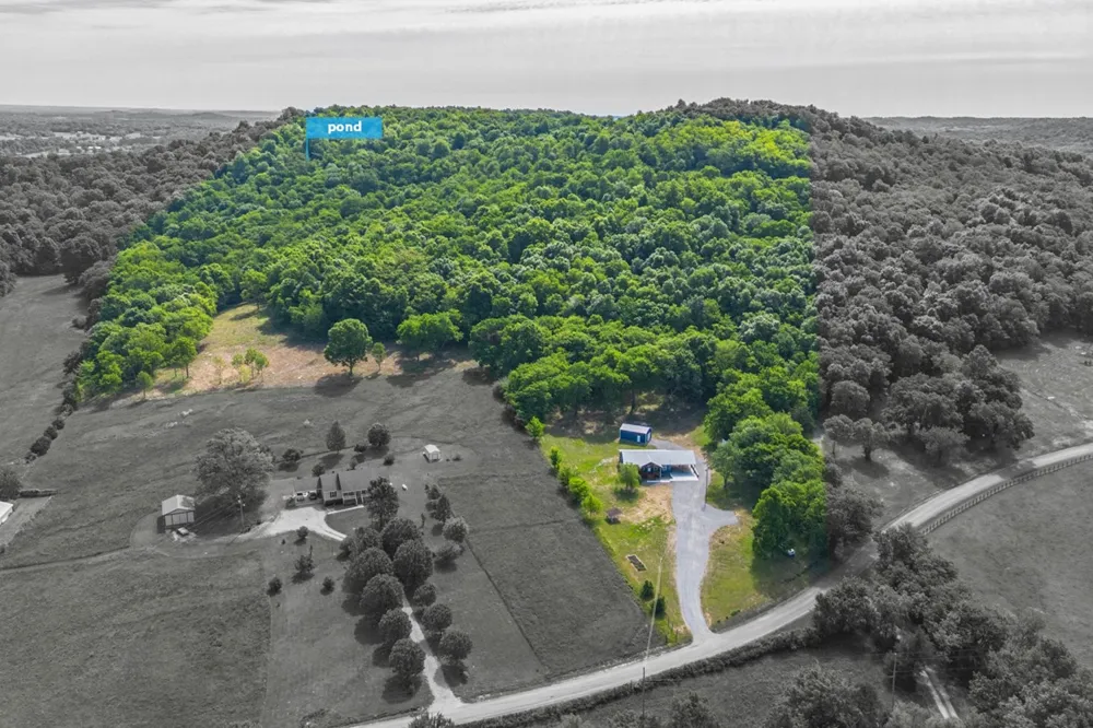 402 Cortner Hollow Rd Petersburg, TN 37144