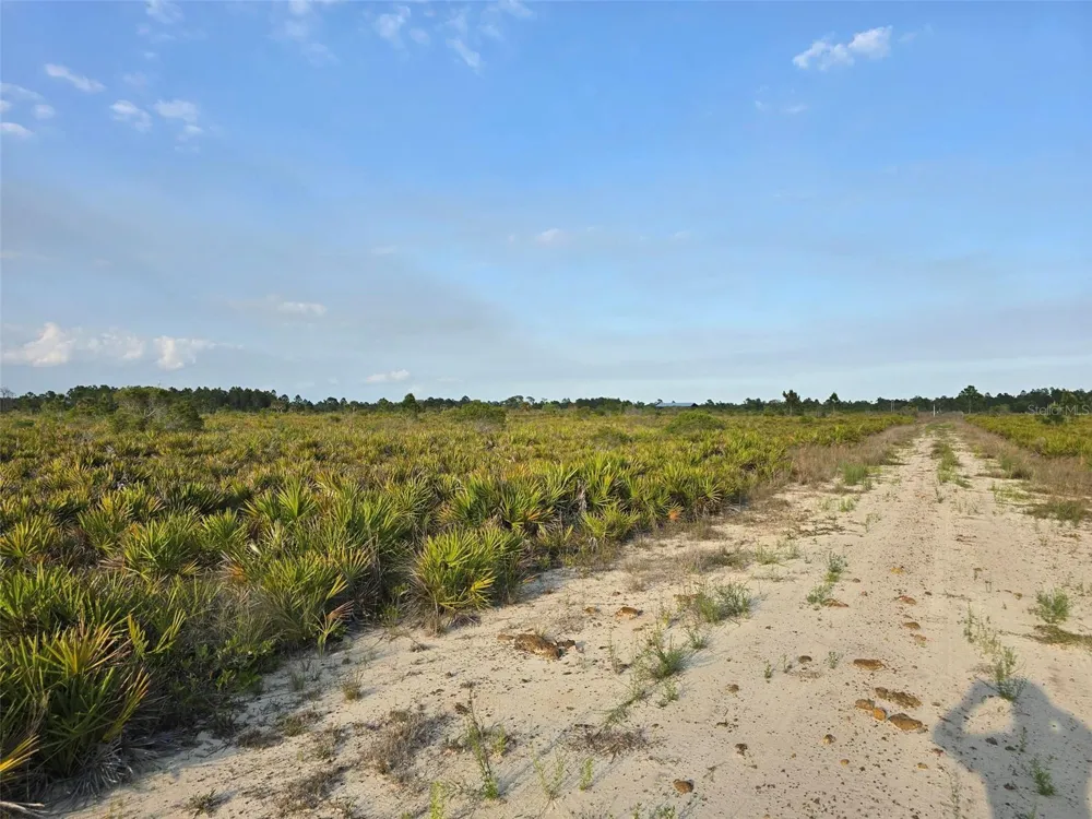 49173 BERMONT ROAD Punta Gorda, FL 33982