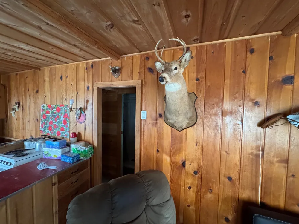 25845 Lou Rayne Beach Road NE Waskish, MN 56685