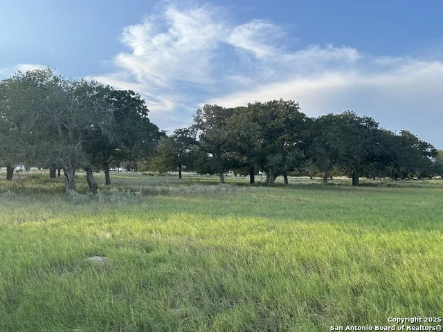 1571 ST HWY 97 E Floresville, TX 78114