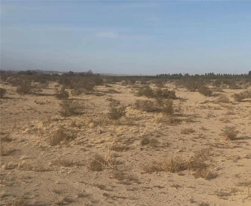 40626 Valley Center Newberry Springs, CA 92365