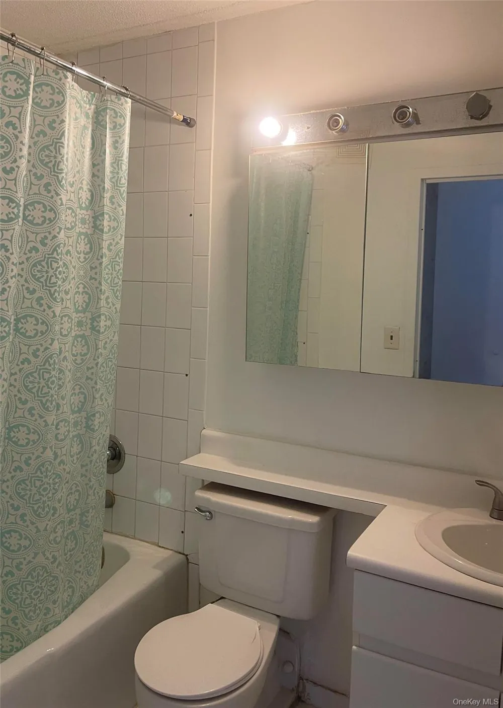 97-12 63 DRIVE #10D Rego Park, NY 11374