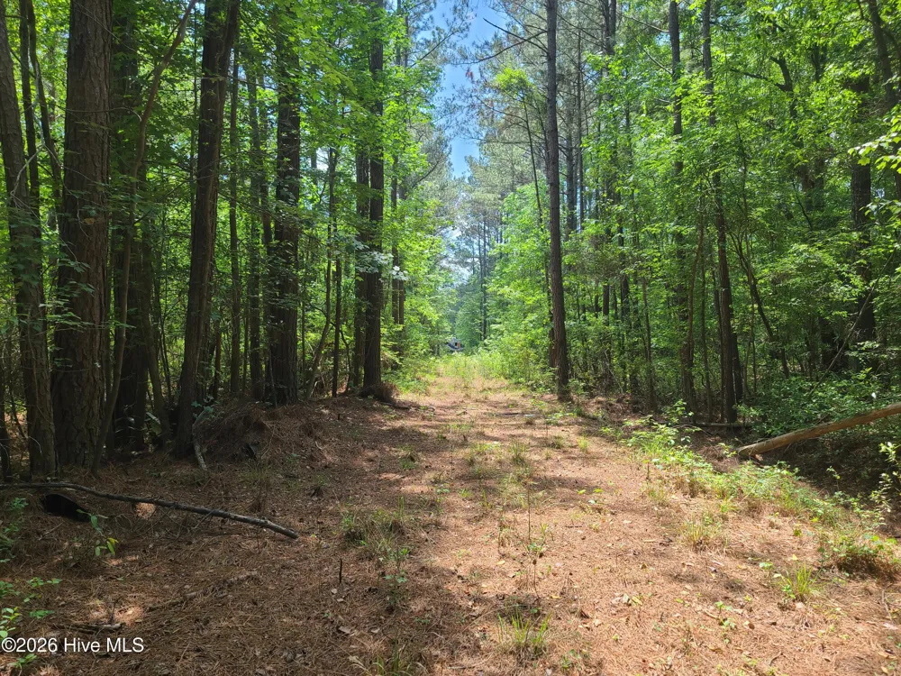 55 Mable Street Kinston, NC 28504