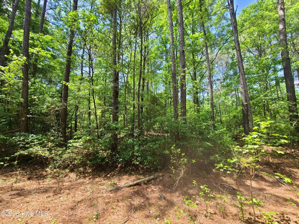 55 Mable Street Kinston, NC 28504