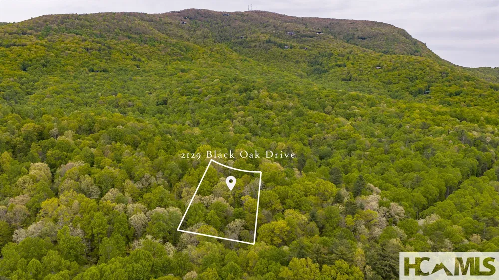 2129 Black Oak Drive Sapphire, NC 28774