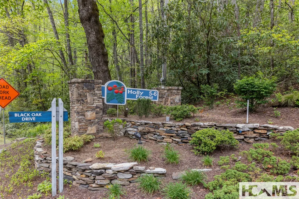 2129 Black Oak Drive Sapphire, NC 28774