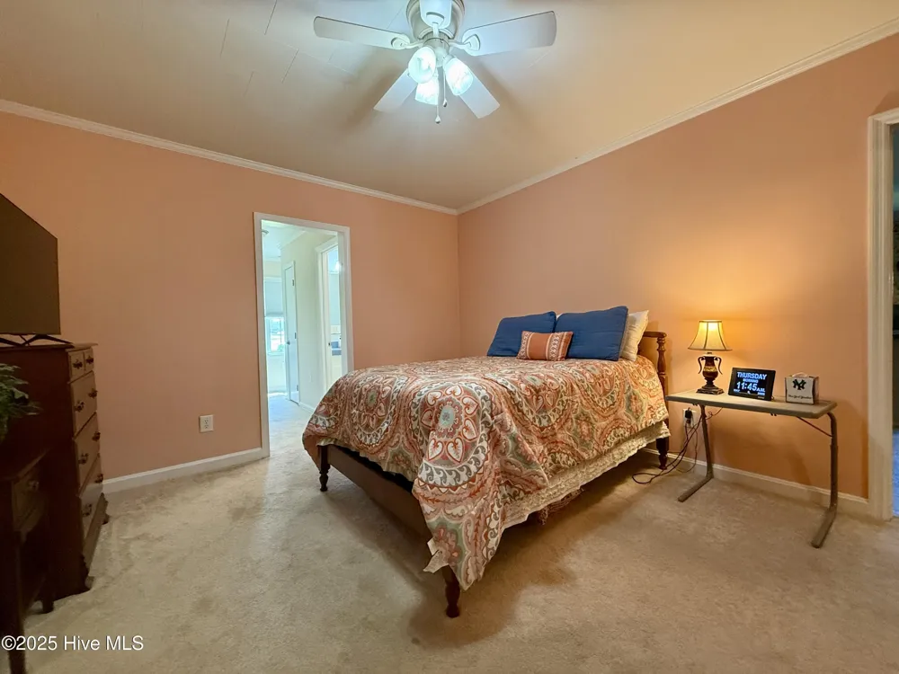 3773 Bear Grass Road Williamston, NC 27892