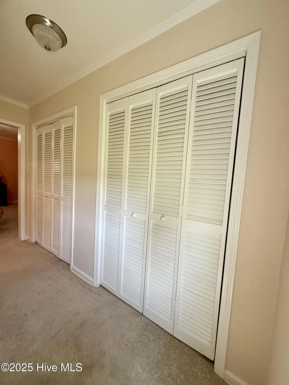 3773 Bear Grass Road Williamston, NC 27892