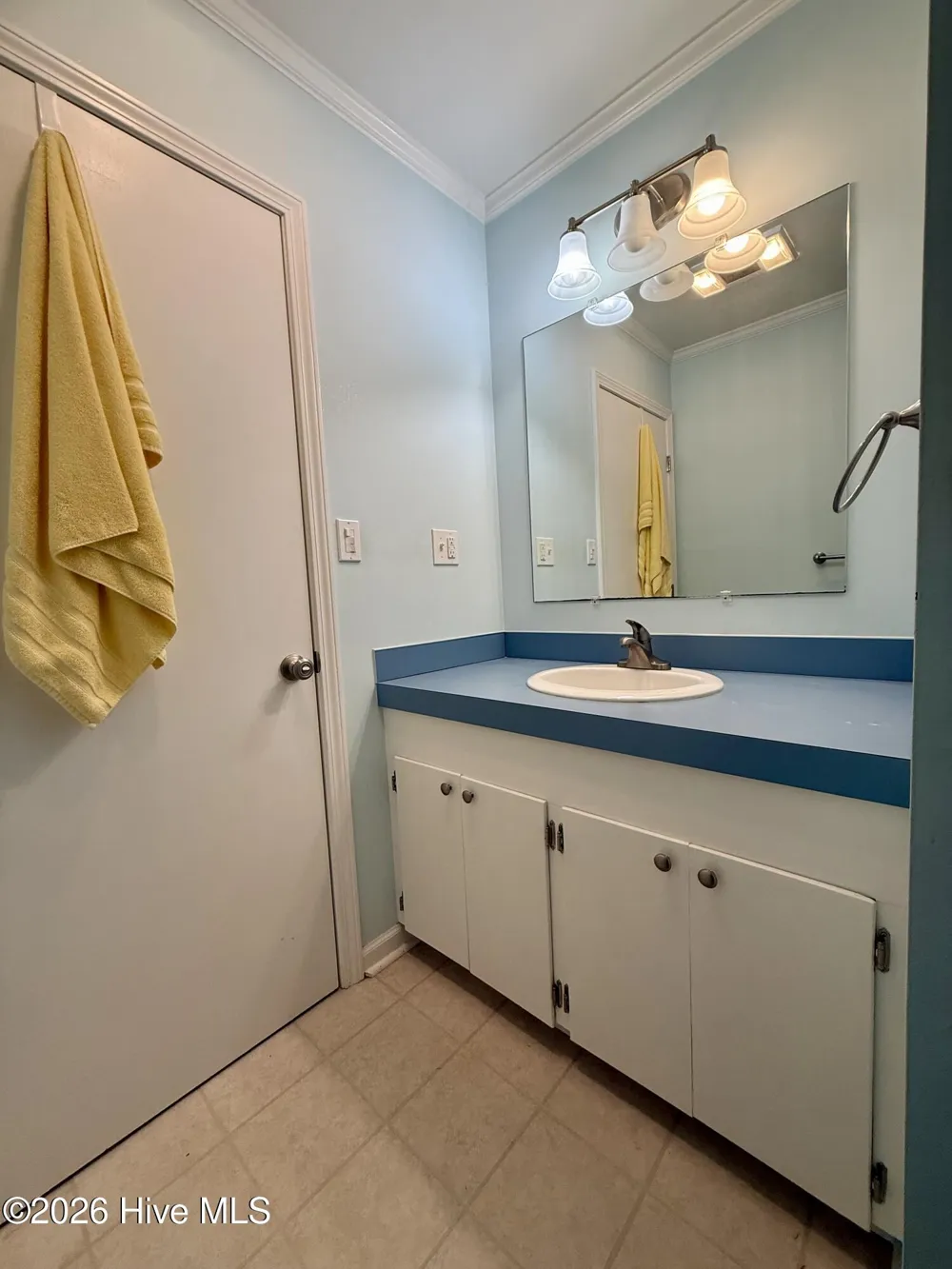 3773 Bear Grass Road Williamston, NC 27892