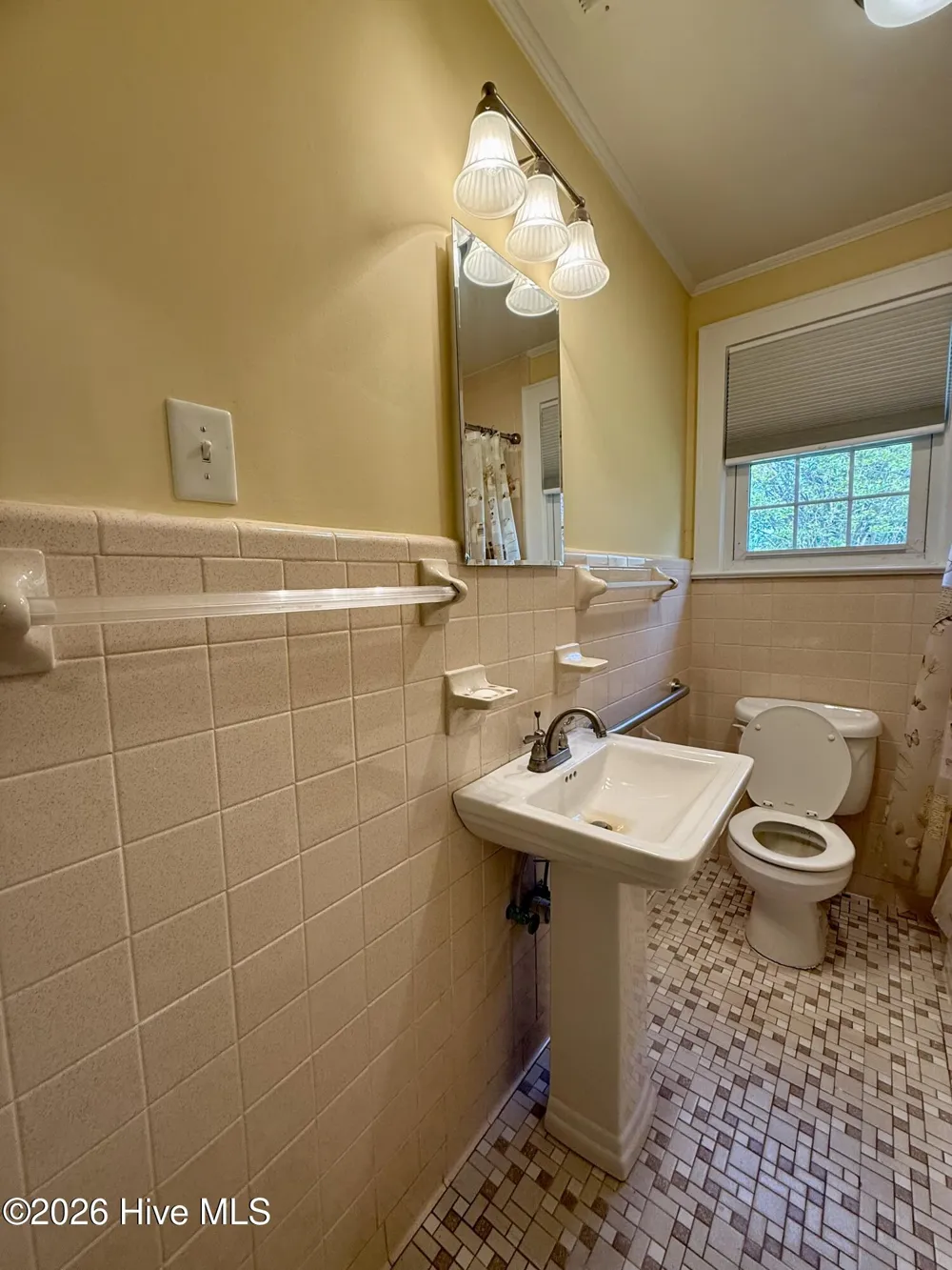 3773 Bear Grass Road Williamston, NC 27892