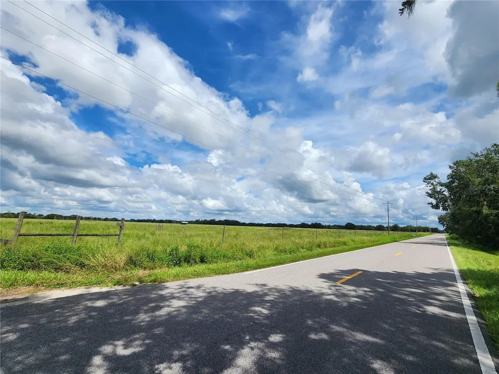GOUGH ROAD Ona, FL 33865