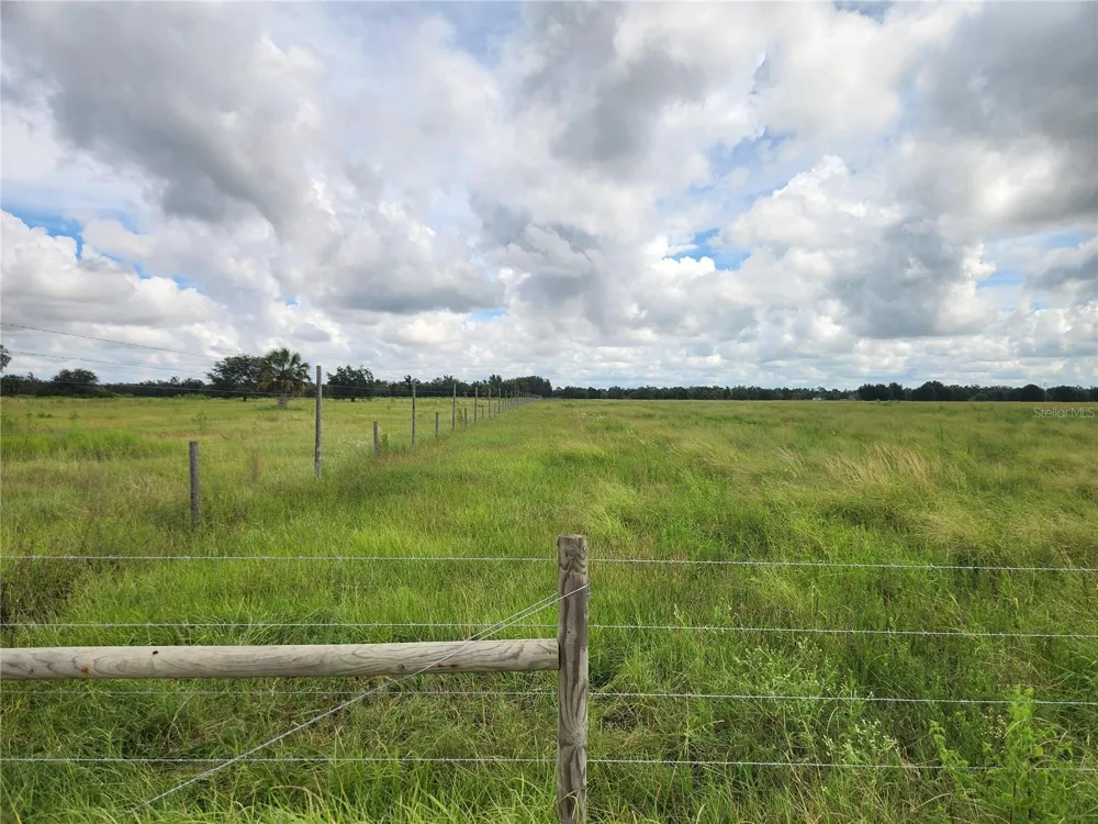 GOUGH ROAD Ona, FL 33865