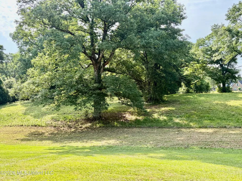 3115 River Ridge Road Summit, MS 39666