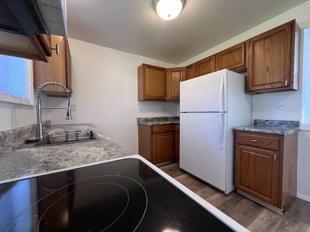 6155 Natchez Drive Mt Morris City, MI 48458